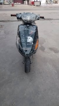 فراشه فحل • نضيفه • سلف