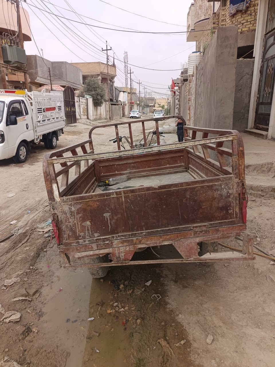 ستوته • شغاله • فيه مجال