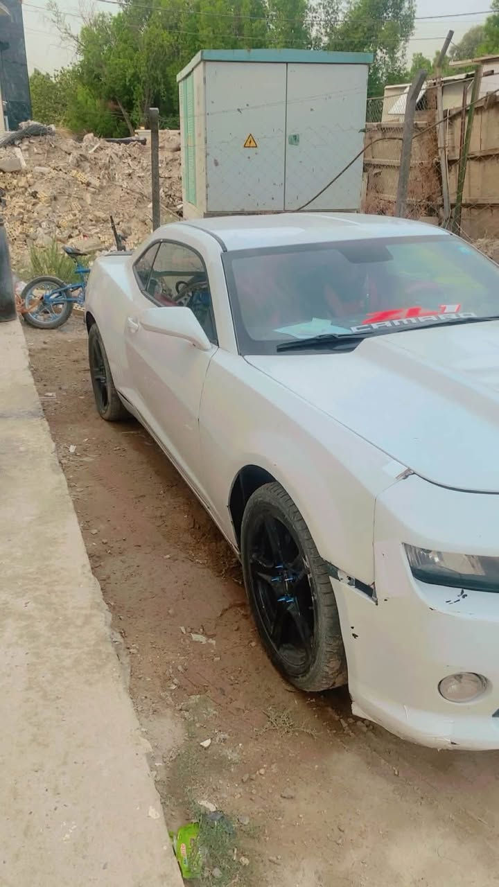 كمارو ابيض • ٢٠١١ • بسمي