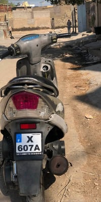 MAX منغولي لبيع 07773437493