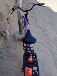باسكل • ٢٠٢١ • شاميه