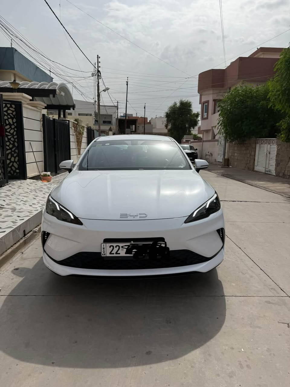 سيل فايف • بدون صبغ • ٢٩ ألف