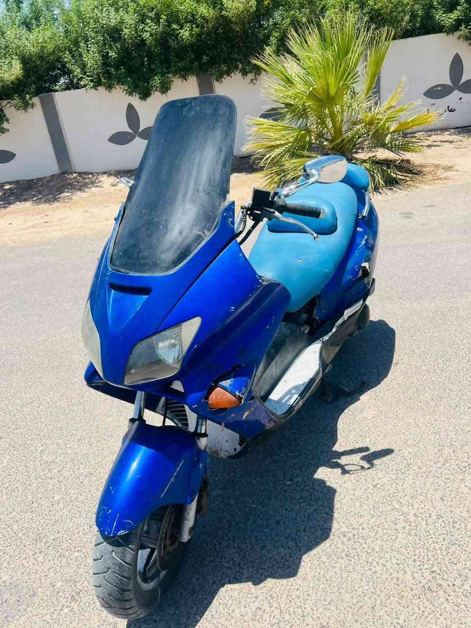فورزه • نضيفه • مكفوله