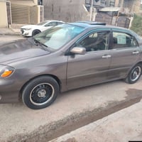 كورلا نحله • ٢٠٠٧ • وارد امريكي