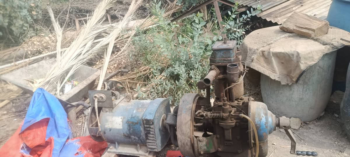 مولد • هندي • للبيع