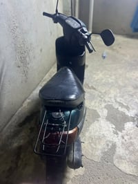 بوتين • معمر • اشاير