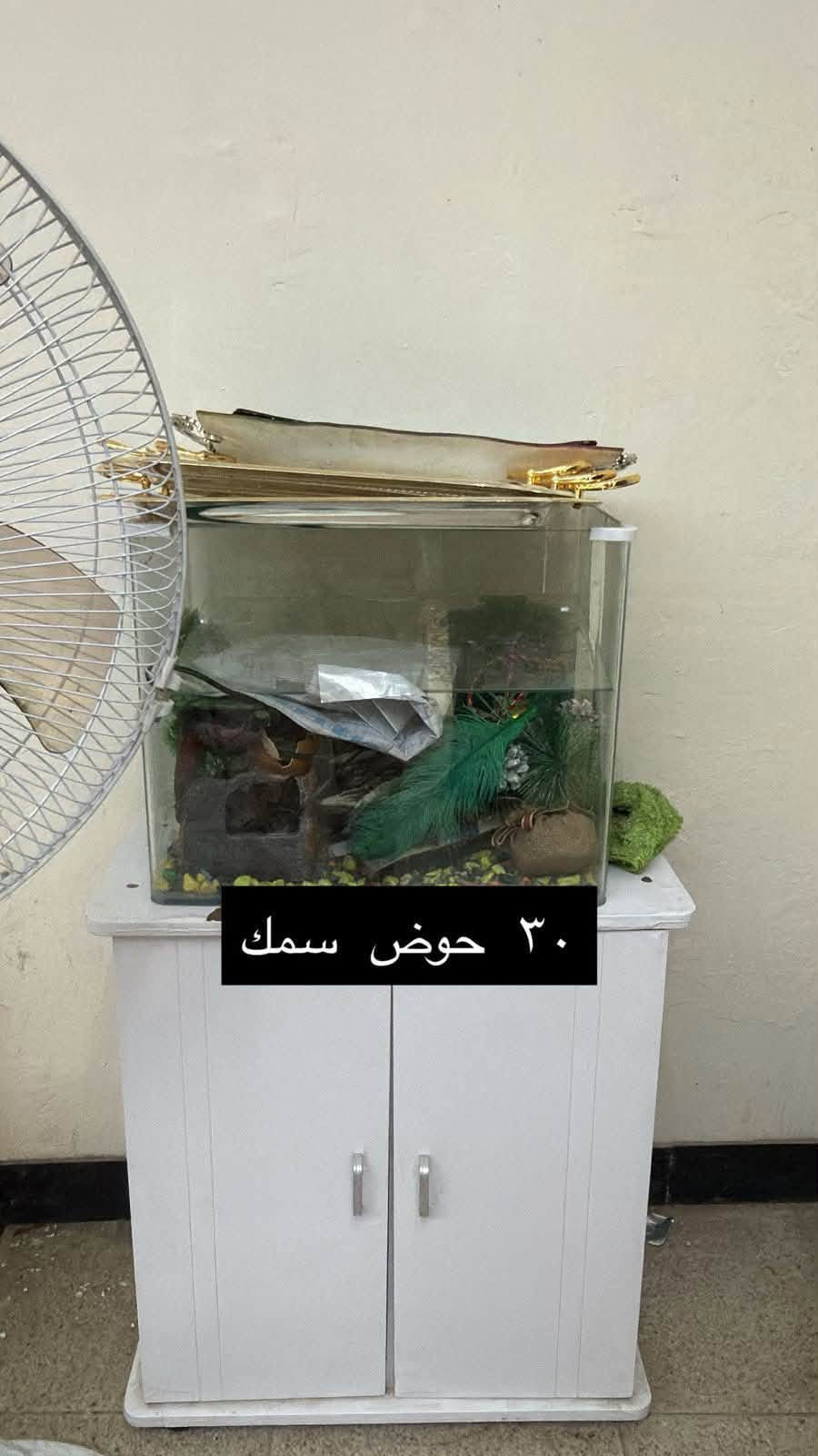 الاسعار داخل المنشور الاستفسار وات ساب ***********

نص مكتوب في الصور:
- ١٥٠ بي مجال للبيع
- طابعه ٥٠
- طباخ ٦٥ اربع عيون
- ٥٥ سنك
- میز ب ۵٠
- جربايه نفر مخزن ٥٠
- ٣٠ حوض سمك
- میز بلازما ٥٠