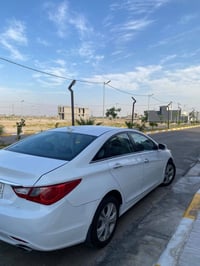 سوناته • ٢٠١١ • بلدروز