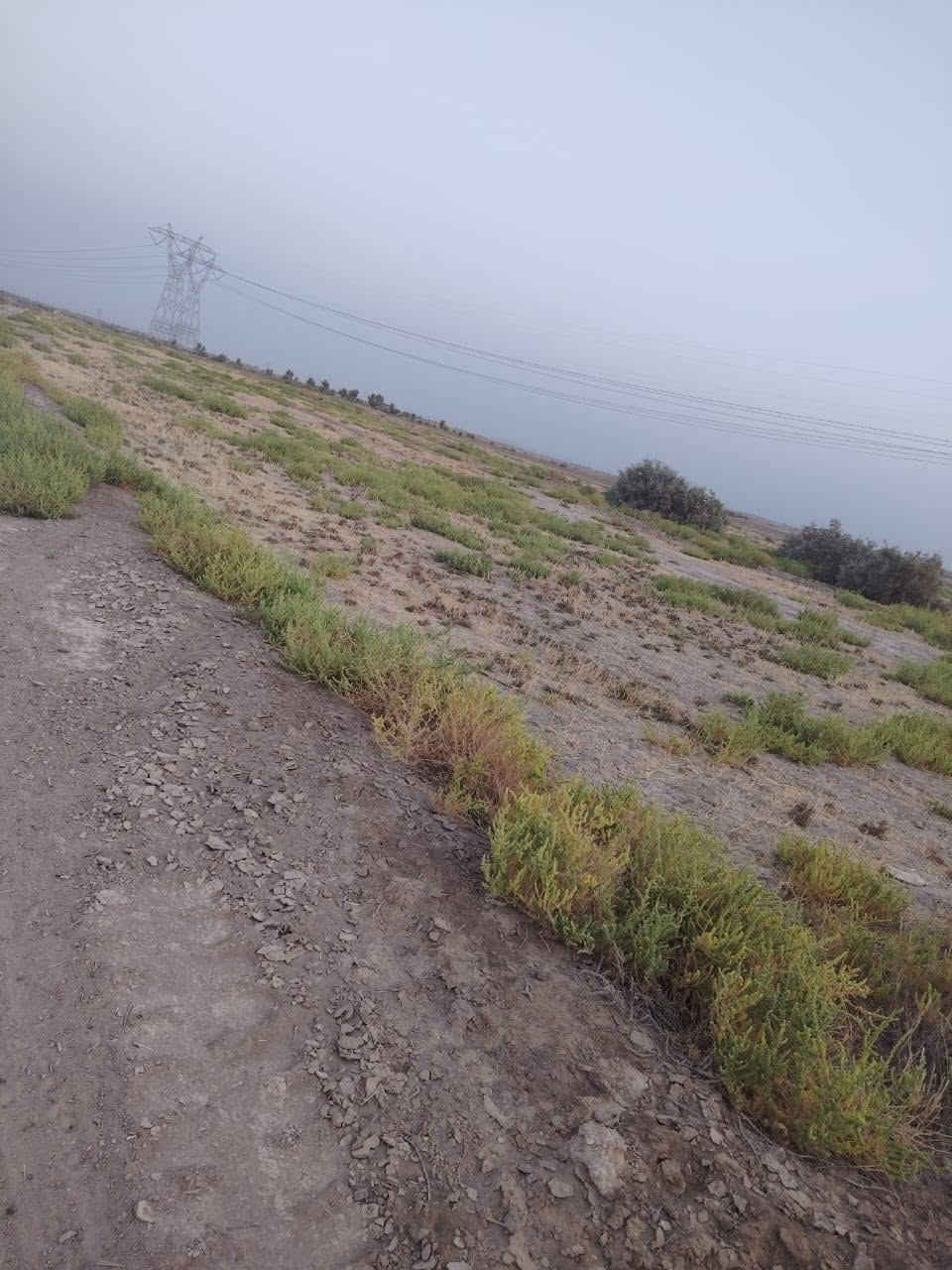 ارض زراعيه للبيع 13دونم طابو سند خمس وعشرين سعر الدونم 13لاستفسار ***********
