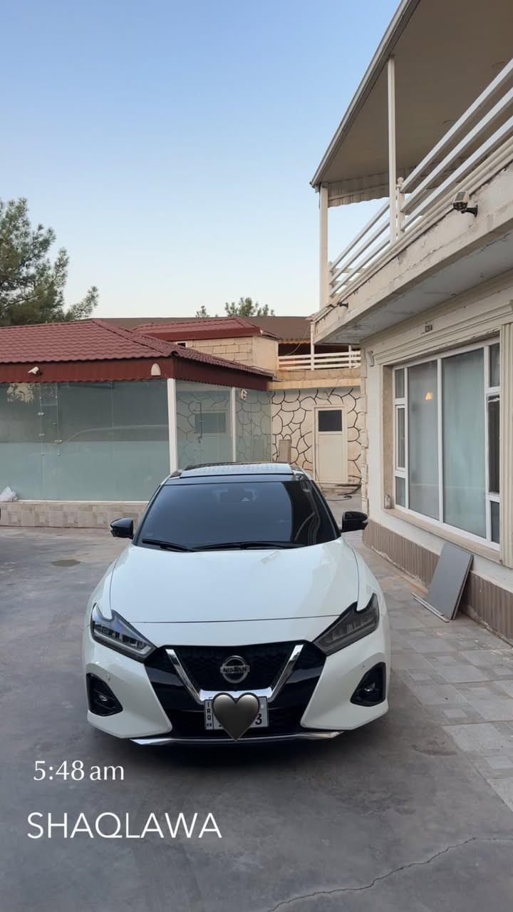 ماكسيما • ٢٠٢٣ • بانوراما جلد