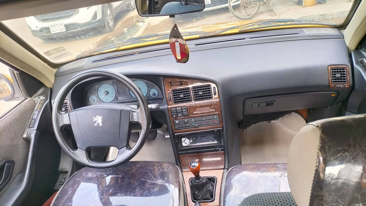 بيجو بارس • ٢٠١٥ • بغداد البلديات