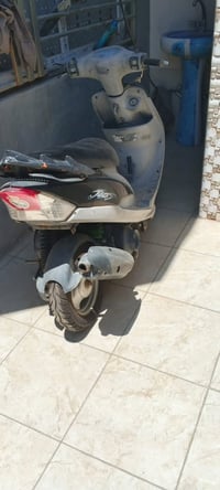 ماكس منغولي • تجفيت • شغال