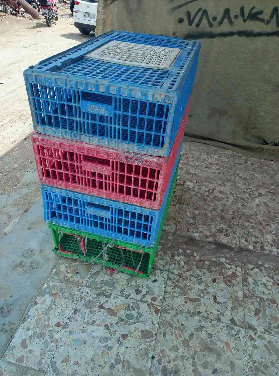 السلام عليكم 
غراض محل دجاج مستخدمات شي قليل كاملات بس تنصب وتفتح رايدهن ب ٦٠٠ وبيهن مجال للشراي، مكاني بابل وهذا رقمي ارد واتساب بس ***********  أو علق واني ادخلك خاص
