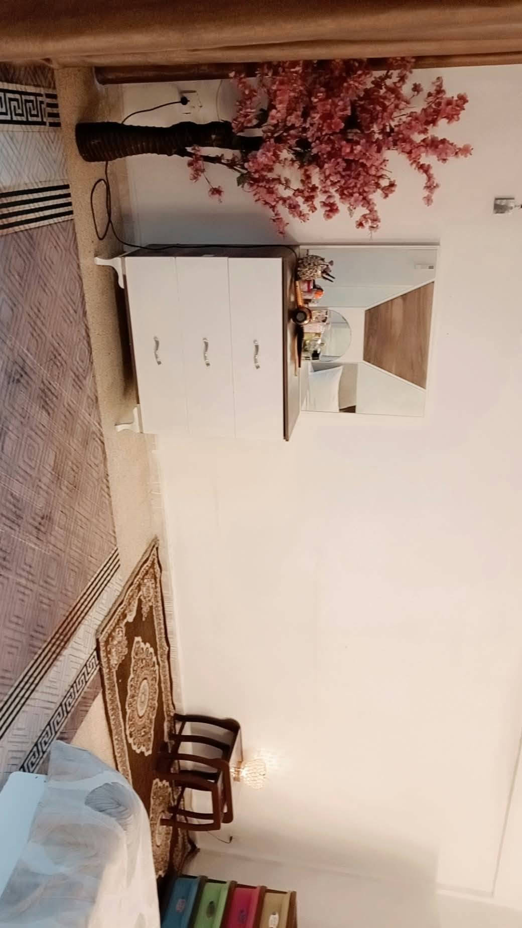 گص سويلم • ١٥٥م • ٣ غرف