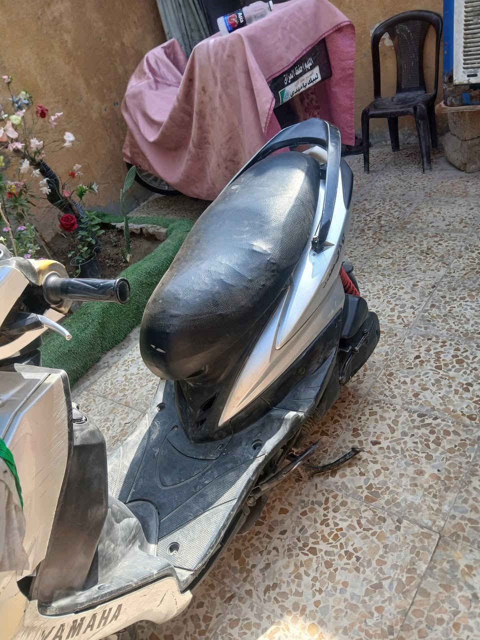 سكنس فحل • نوزل كوري • سلف كهربائي