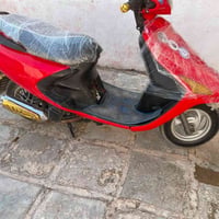 فراشه فحل • سلف هندر • ما مفتوح