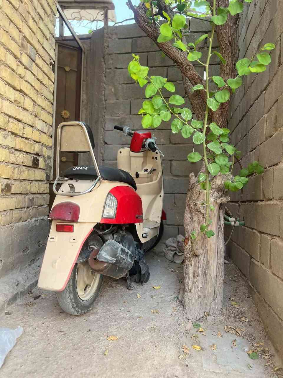 بوليس • كفاله • بنزين