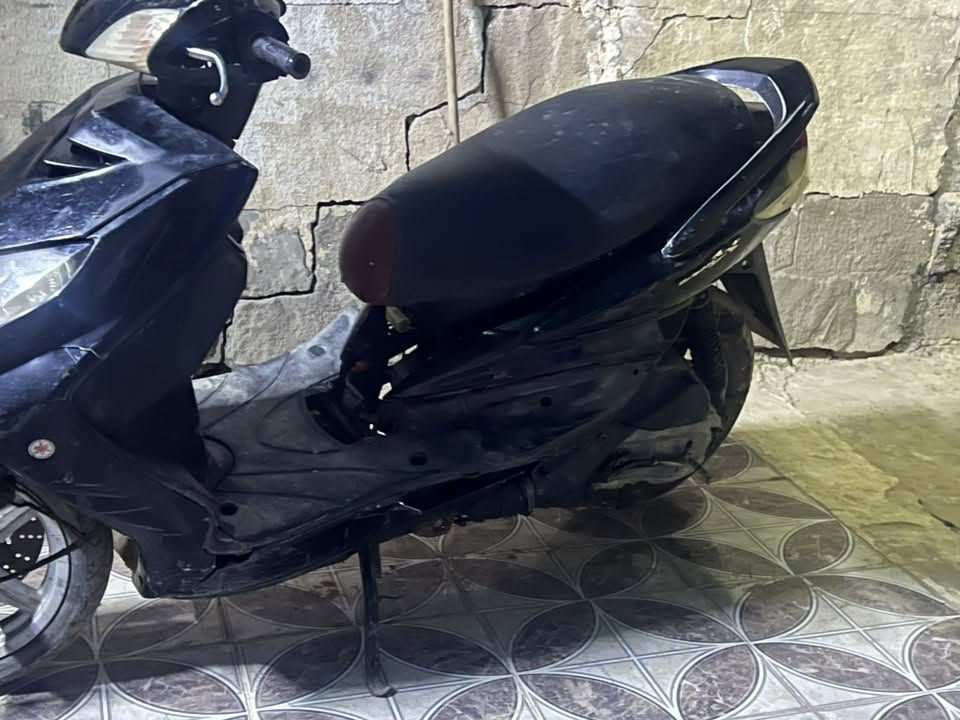 سكنس فحل • شغالة • سلف