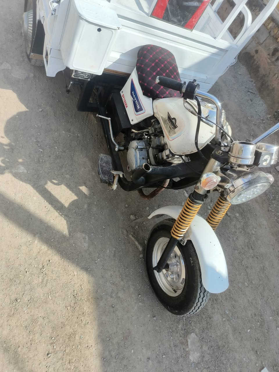 ستوته • ٢٠١٩ • كوت