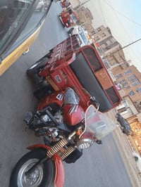 ستوته • ٢٠٢٠ • أوراق كاملة