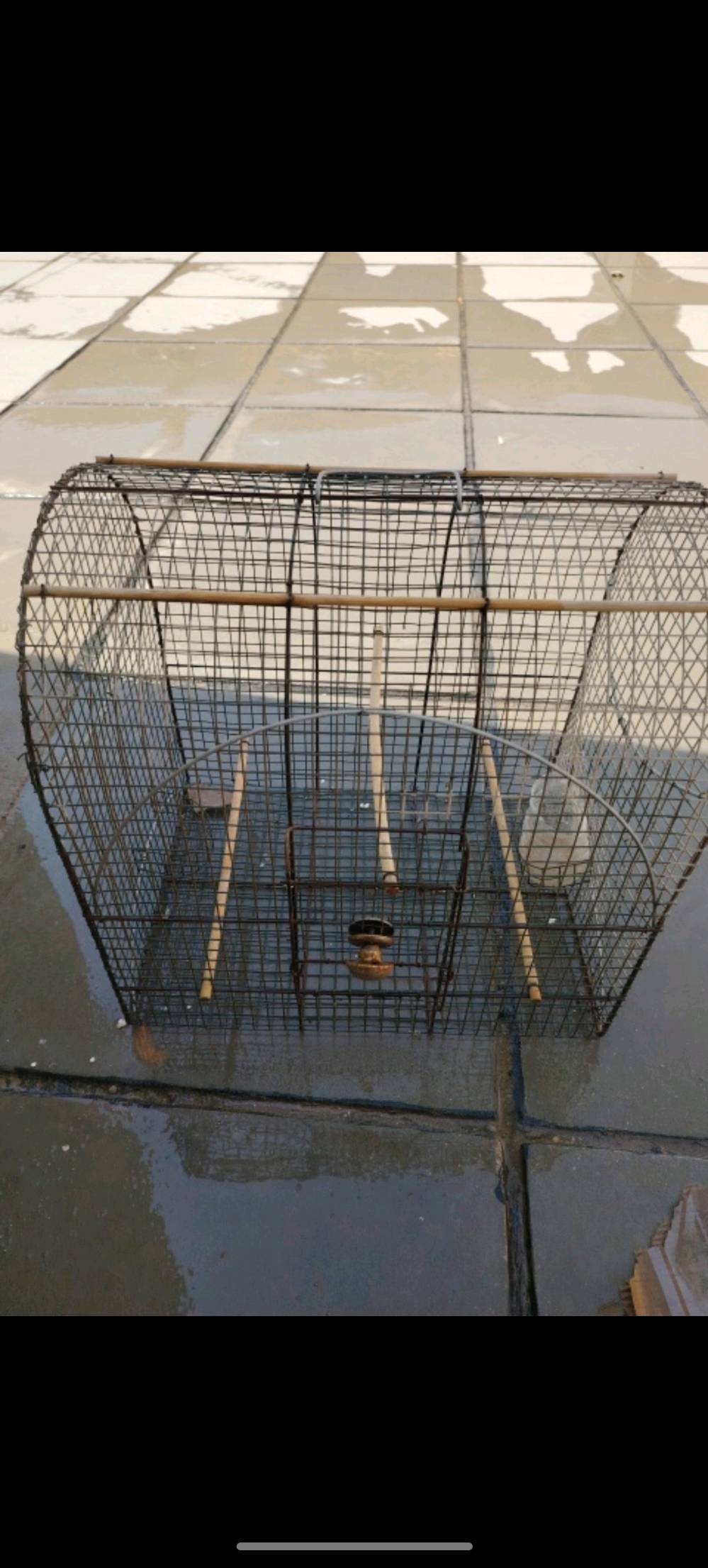 ناصرية مركز  ناصرية مركز ***********