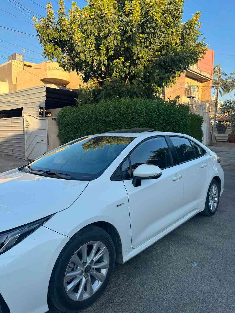 كورلا موديل 2024
شكل الخليجي 
ماشية 33 كيلو 
كلين تايتل مكفولة كفالة عامة من بارد والصبغ
داخل اسود جلد 
فول ماعدا الكشن مو كهرباء 
السيارة باسمي تحويل ثاني يوم 
 مكاني بغداد العامرية 
السعر (151) بيهة مجال بسيط 
***********
