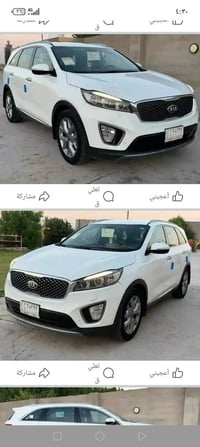 ٢٠١٥ • شكل ١٦ • ٣ قطع صبغ