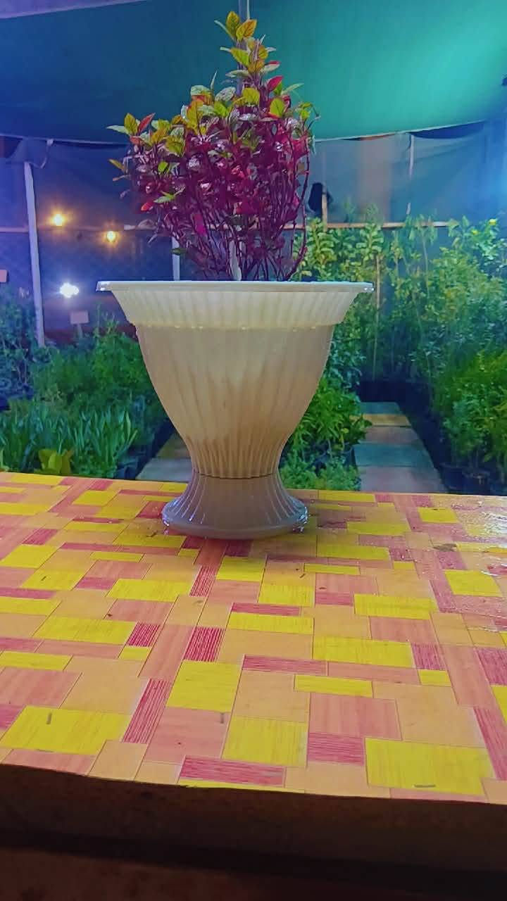 يسر مشتلنا مشتل كاردنيا زيارتكم لوصول وحجبه جديده من النباتات الدداخليه والخارجيه وبسعر مناسب توجد خدمه توصيل 
للحجز والطلب مراسله الصفحه

نص مكتوب في الصور:
- مشتل
- كاردينيا
- للزهور والنباتات
- جمال الطبيعة يبدأ من هنا
- تشكيلات متنوعة
- لنباتات والشتلات
- أجمل الزهور
- والنباتات
- جودة عالية
- وأفضل الأسعار
- لمسة جمال تضيف
- الحياة إلى كل مكان
- للاستفسار والطلب
- ***********