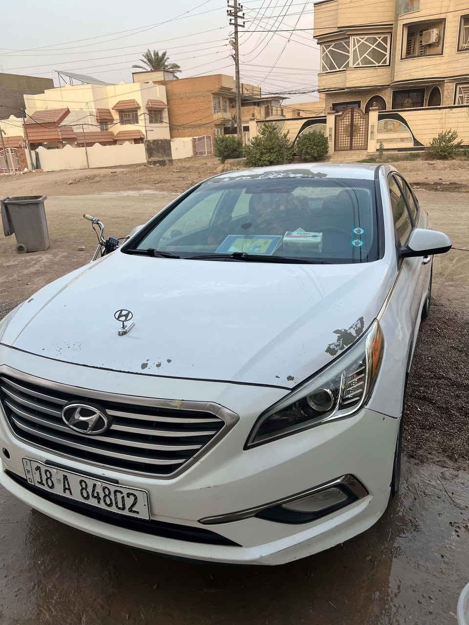 سوناته • ٢٠١٧ • رقم بابل