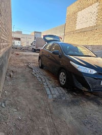 يارس ياباني • ٢٠١٩ • رقم اربيل