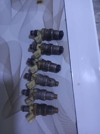 نوزلات • نضاف • للبيع