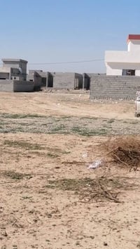 بل صياد • ٢٥٠م • قريبة ع المدرسة