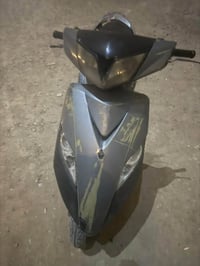 ثعلب • مبدل زنجيل • اوراقه كامله