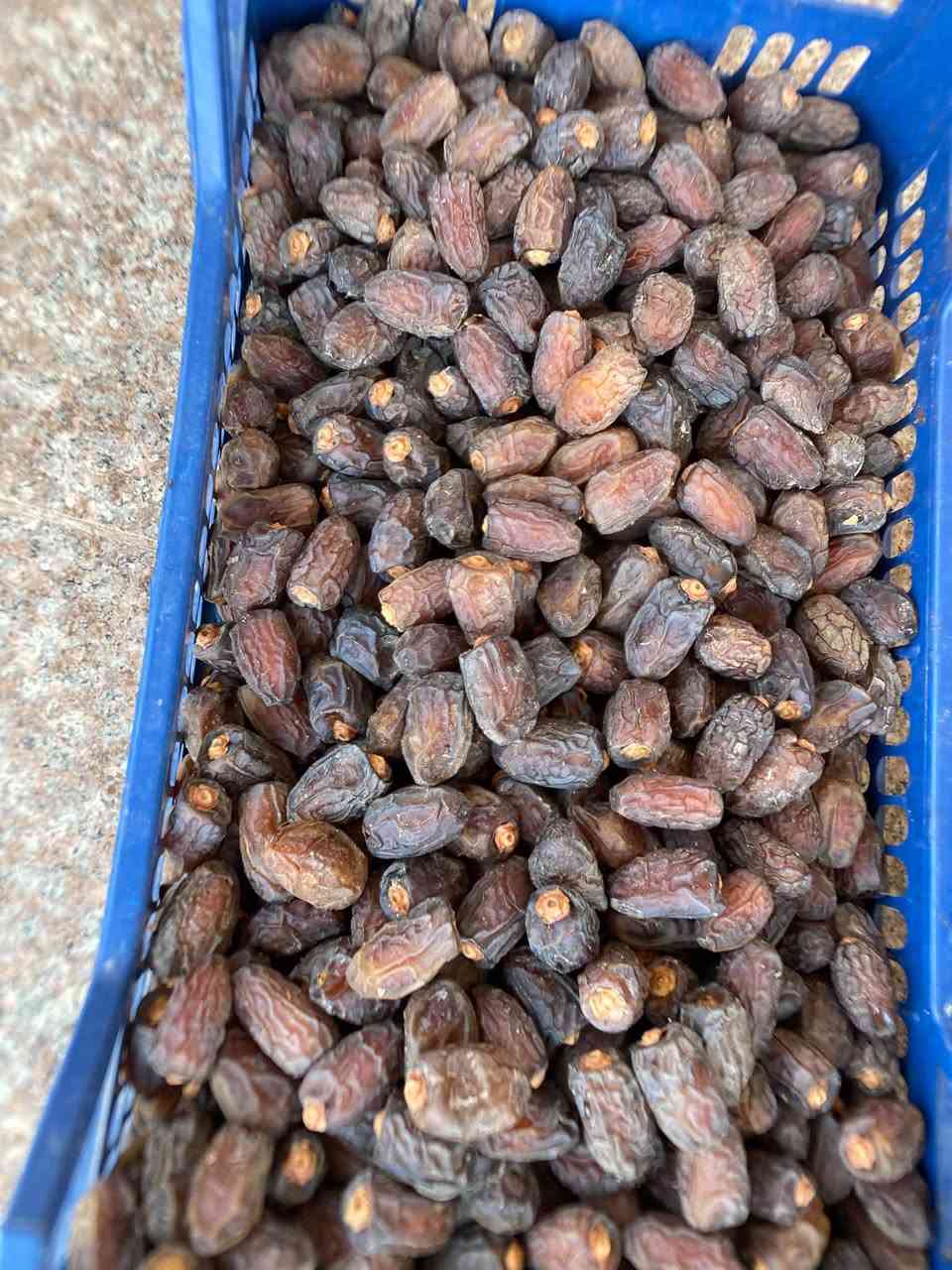 بريم درجه اولى • بيه مجال • الشجيريه