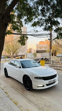 تشارجر SXT • ٢٠٢٢ • رقم اربيل