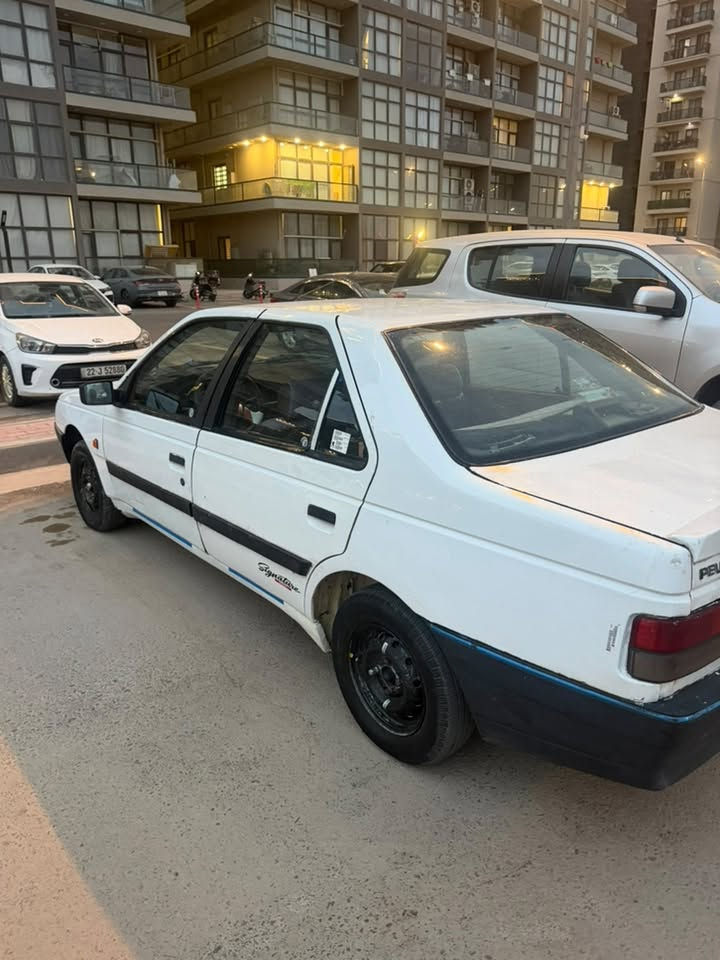 بيجو روا • ٢٠٠٧ • تبريد ثلج