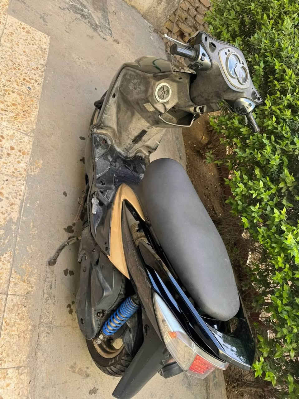 سلام عليكم سكنس فحل طلاعات كولدن للبيع درجه بلاديه كلشي مابيهه نقص مكان الامين الثانيه سعر ٨٥٠وبيع مجال بصيط نكره بكل وقت ***********
