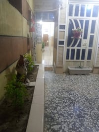 طابو زراعي • ١٢٥م • العبيدي بغداد