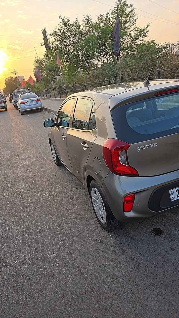 بيكانتو ٢٠٢٠ • نظيفه • بغداد العامريه