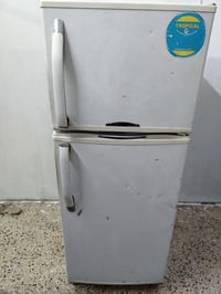شغالة فول • وادي حجر