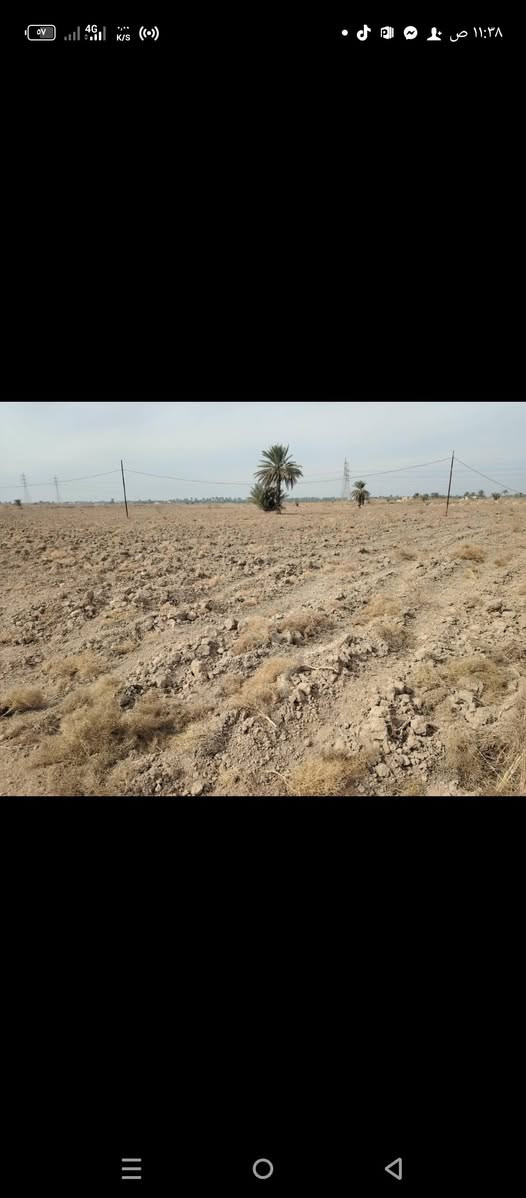 أرض زراعية • ٨ دونم • طريق حله القاسم