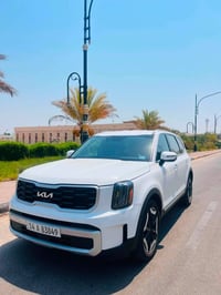 ٢٠٢٤ • ٦ سلندر • ٧ راكب