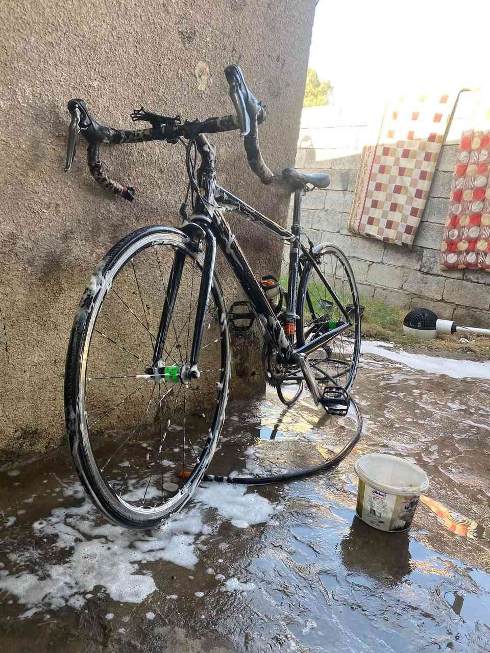 باسكال رود • كامل • بغداد