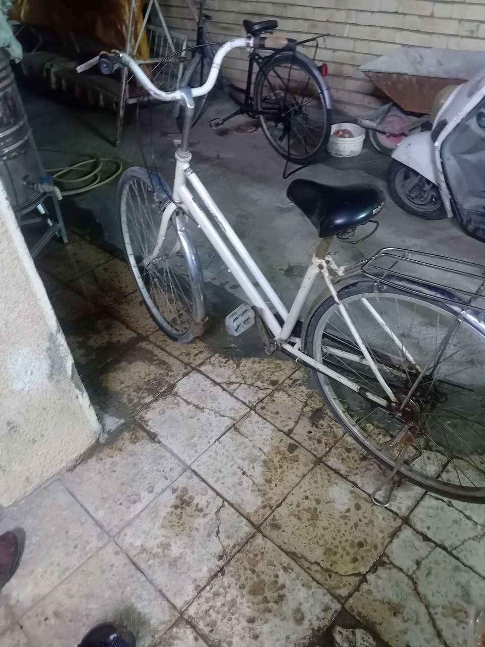 باسكل بناتي • ٢٧ • للبيع