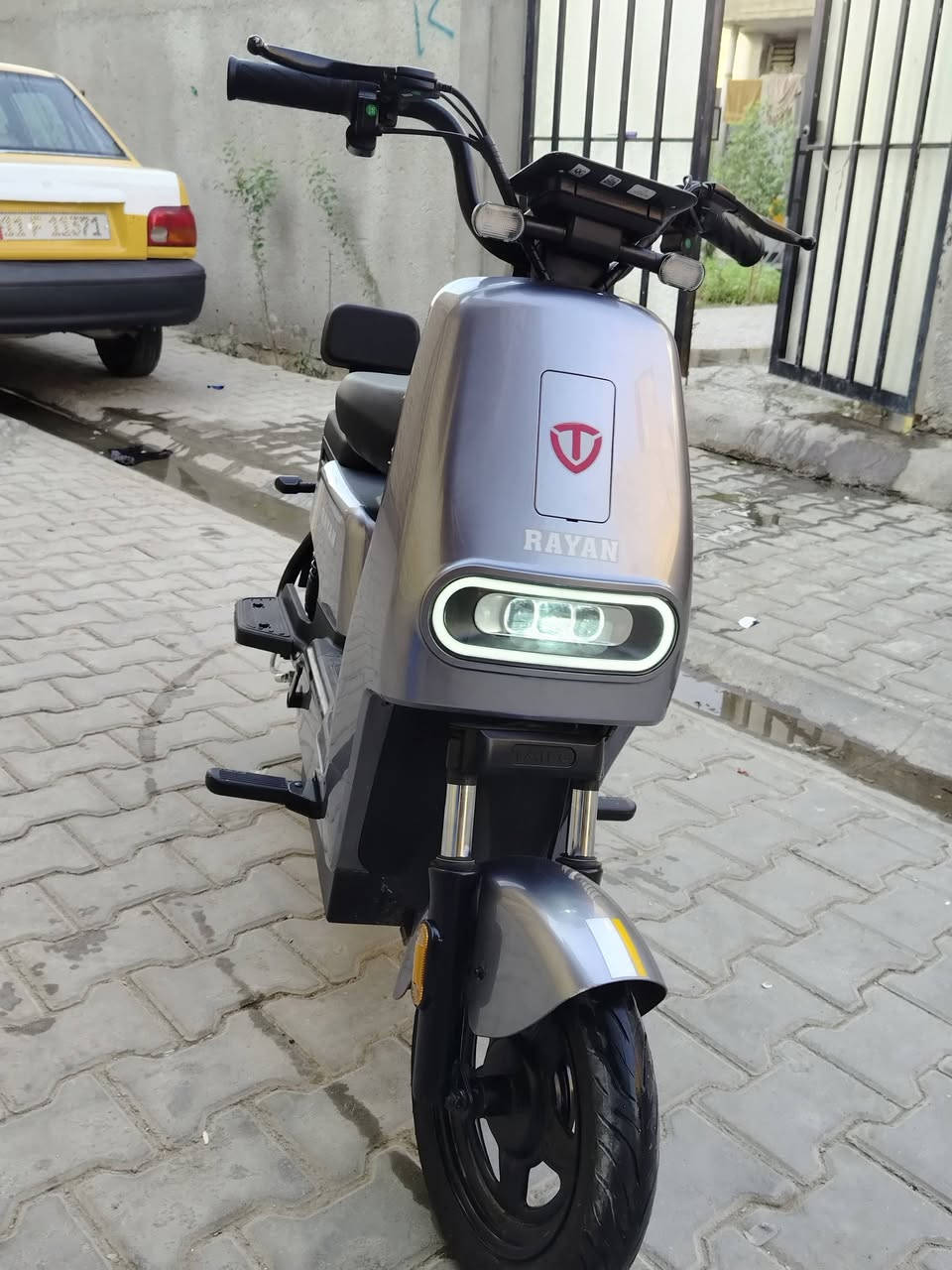دراجة شحن • ريان • هامستر