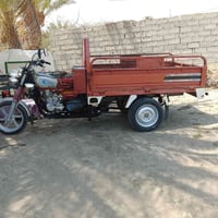 ستوته • فحل • مديل 19