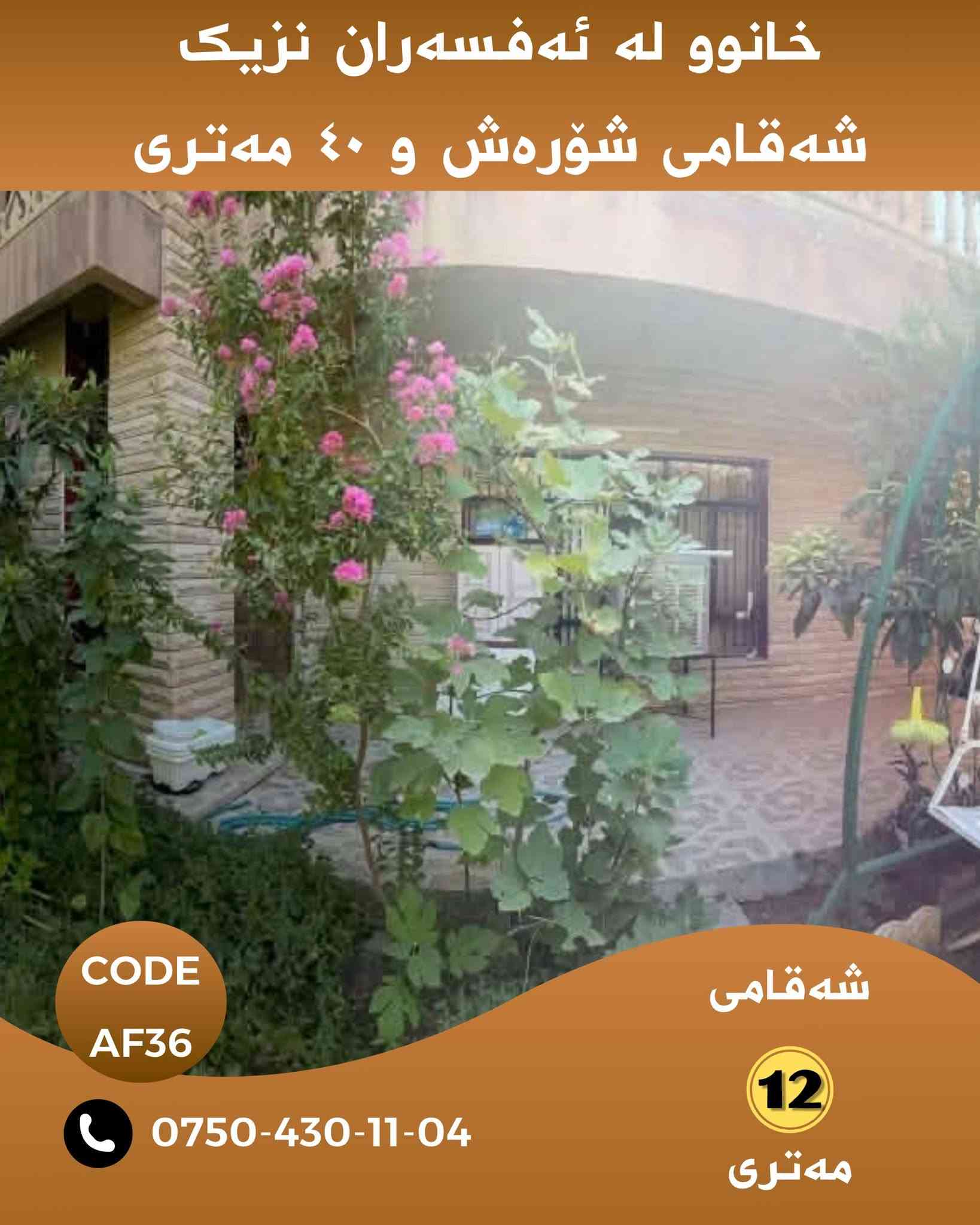 خانووێک لە شوێنێکی زۆر تایبەت بە نرخی زەوی ،

خانووەکە بە خۆی ماڵی تێدایە و ٤ ساڵ پێش ئێستا ناوەوەی هەمووی نوێکراوەتەوە سبوغ و  سەقف مغریبی کراوە

خانووەکە نزیکە لە شەقامی شۆرەش نزیکە لە نەخۆشخانەی ڕاپەرین نزیکە لە مزگەوت نزیکە لە شەقامی ٤٠ مەتری و بازاڕی شورتاوە و ١٠٠ مەتری 

🏠 زانیاری خانوو
📍 شوێن:سەبحە نیسان ڕاپەرین 
🛣️ شەقام: شەقامی ١٢ مەتری

🧭 ڕووی خانوو: ڕووی ڕۆژهەڵات و نسار 

🏡ڕووبەری ٣٠٨ مەترە

💰 نرخ: بۆ زانیاری نرخ و ڤیدۆی ناوەوەی خانوەکە پەیوەندیمان پێوە بکەن یان تەنها ژمارە( ١ )لە کۆمێنت بەجێبهێڵە زانیاری تەواوت پێدەگات

‏Code: AF36

📲 بۆ زانیاری زیاتر لە واتسئاپ نامە بنێرە:
***********

WhatsApp.
https://wa.me/message/KAHNYWFPM3WOG1

📢 بۆ ئەوەی ڕۆژانە خانوو و زەویەکانی لامام ببینی بۆ فرۆشتن لە تەلەگرام لەگەڵمان بن :

Chanel telegram 
https://t.me/borsa_aqarat

https://t.me/dollairaq

‏N.M. REAL ESTATE 🏠
‏Real Homes for Real Life

#هەولێر #هەولێری_نوێ #خانوو_بۆ_فرۆشتن #موڵک #عەقار #Hawler #Hewacity #HawlerNew #RealEstate #HA10

نص مكتوب في الصور:
- خانوو له ئەفسەران نزیک شەقامی شۆڕەش و ٤٠ مەترى CODE AF36 *********** شەقامی 12 مەترى
- خانوو له ئهفسهران نزیک شهقامی شورهش و 40 مهتری CODE AF36 *********** شهقامی 12 مهتری
- خانوو له ئهفسهران نزیک
- شهقامی شۆرهش و ٤٠ مهتری
- CODE AF36
- ***********
- شهقامی 12 مهتری
- خانوو له ئه فه سه ران نزیک شه قه می شؤره ش و ٤٠ مه تری CODE AF36 *********** شه قه می 12 مه تری
- خانوو له ئهفسهران نزیک شهقامی شؤرهش و 40 مهتری CODE AF36 *********** شهقامی 12 مهتری
- خانوو له ئهفسهران نزیک شهقامی شؤرهش و ٤٠ مهتری CODE AF36 *********** شهقامی 12 مهتری