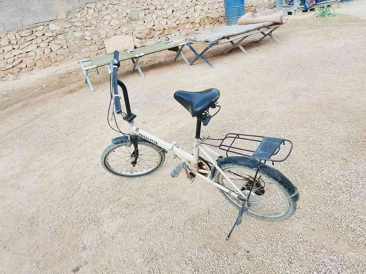 باسكل • جديد • طبكه
