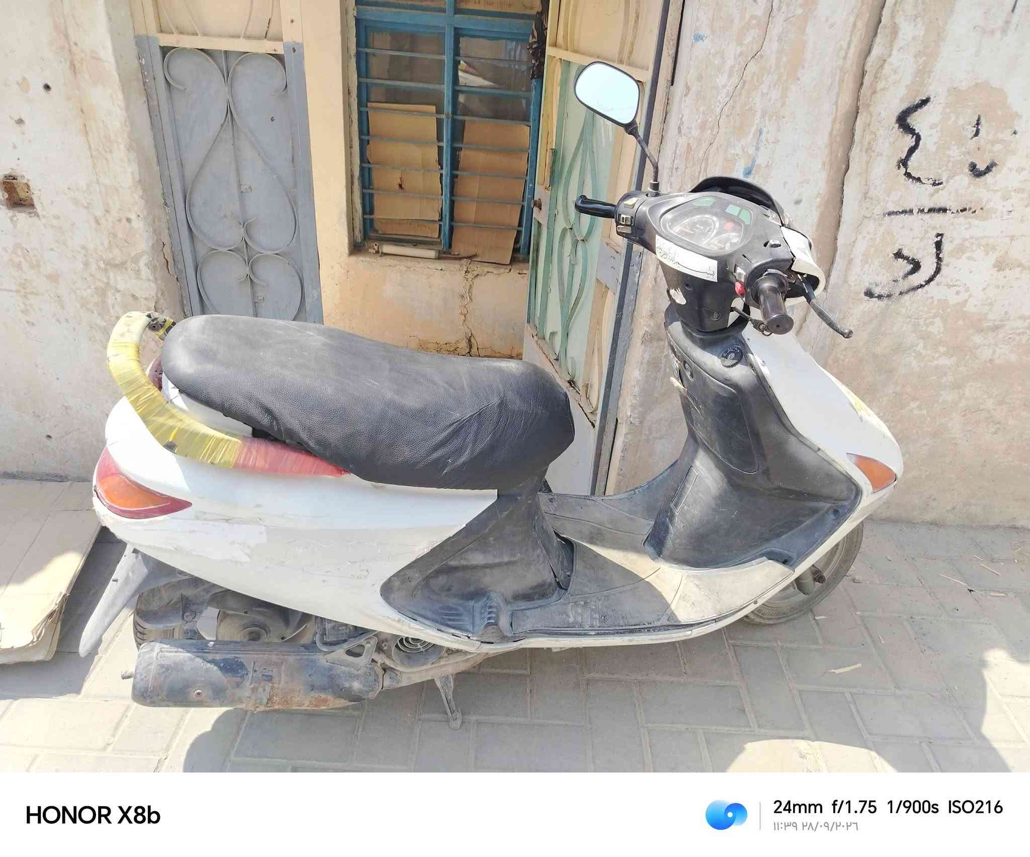 فراشه فحل للبيع بالزبير مكينه مفتوحا شرط شغل معدل السعر ٣٥٠ وبيها مجال لعيون جيت الشراي واتساب *********** تريد غسله فقط

نص مكتوب في الصور:
- HONOR X8b 24mm f/1.75 1/689s ISO100 ١١:٣٩ ٢٨/٠٩/٢٠٢٦
- HONOR X8b 24mm f/1.75 1/900s ISO216 11:39 ٢٨/٠٩/٢٠٢٦
- HONOR X8b 24mm f/1.75 1/720s ISO100 11:39 ٢٨/٠٩/٢٠٢٣