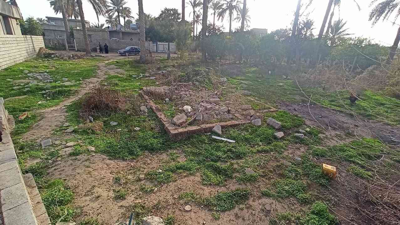البدعيه • طابو زراعي • ٤٦٠م
